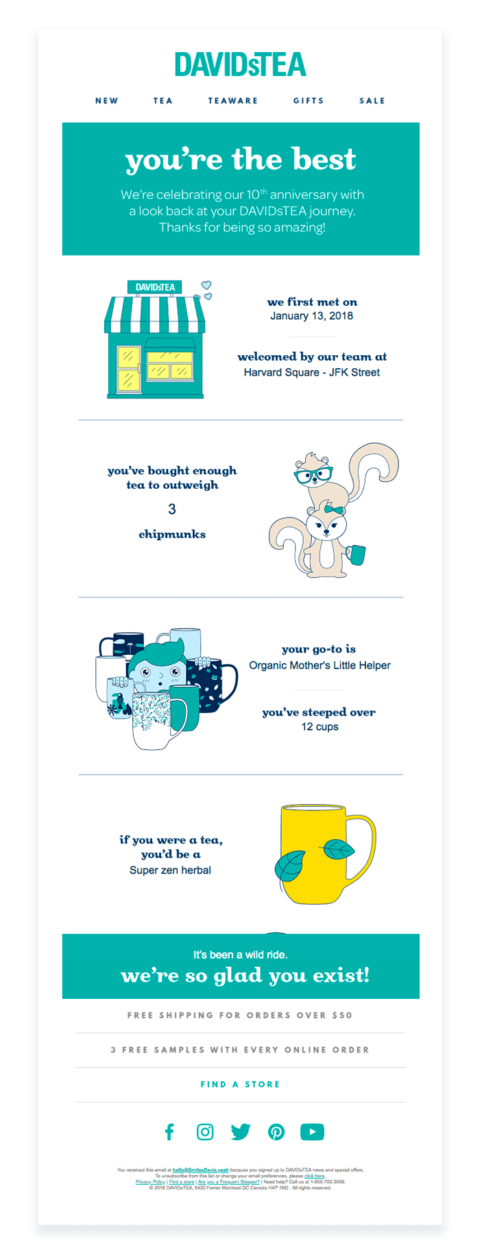 Audiense blog - DAVIDsTEA highly personalised email